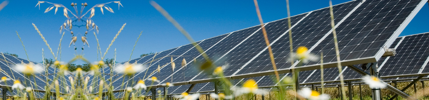 Invest in the dynamic global solar energy industry...